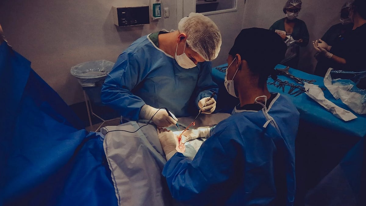 Navi Mumbai News: Doctors Use V-V ECMO To Save Patient With Severe Lung Failure AT Fortis...