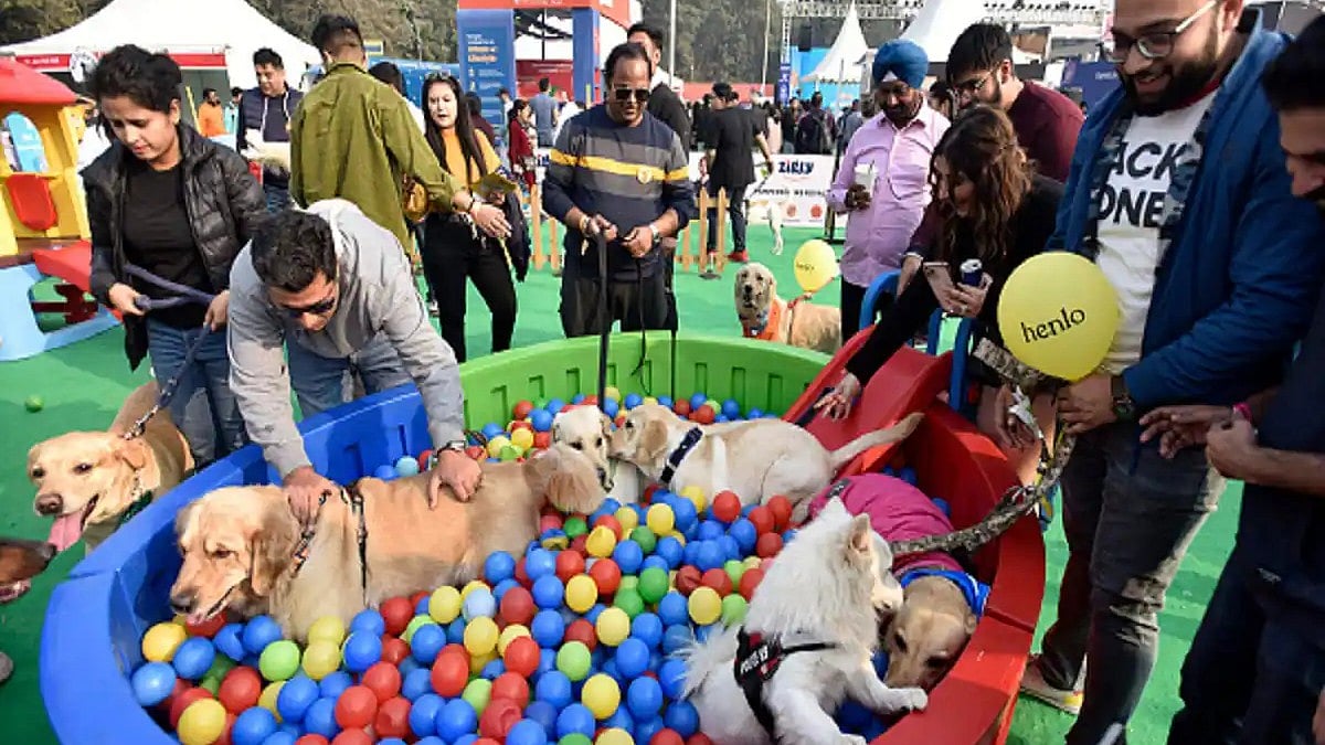 Pune Pet Lovers Gear Up For India's Biggest 'Pet Fed' Festival On Nov 22-23: Check Out Venue & Other...