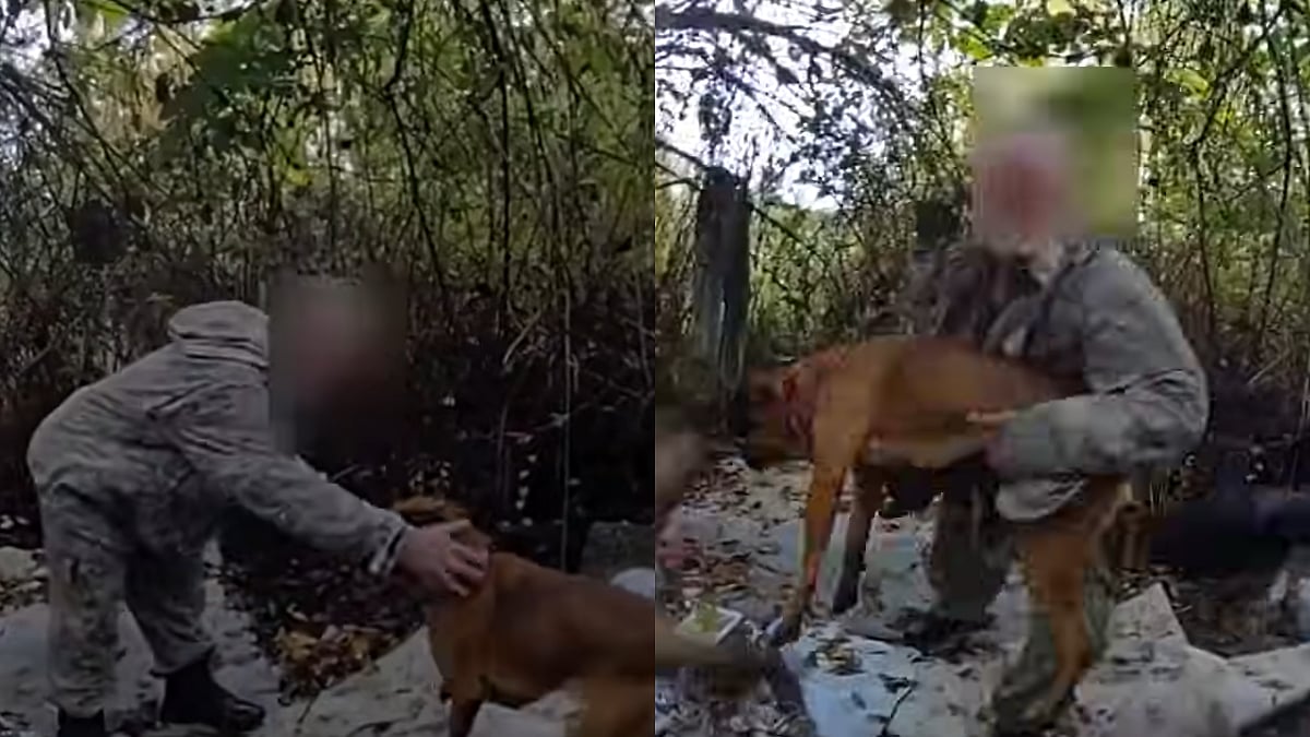 Wanted Criminal Throws His Dog At US Cops While Trying To Avoid Arrest, Tumbles & Gets Arrested On Multiple Charges 