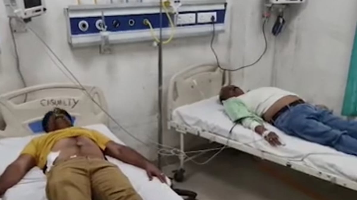 MP News: Tehsildar, BLOs Attacked During SIR Survey In Ratlam | 