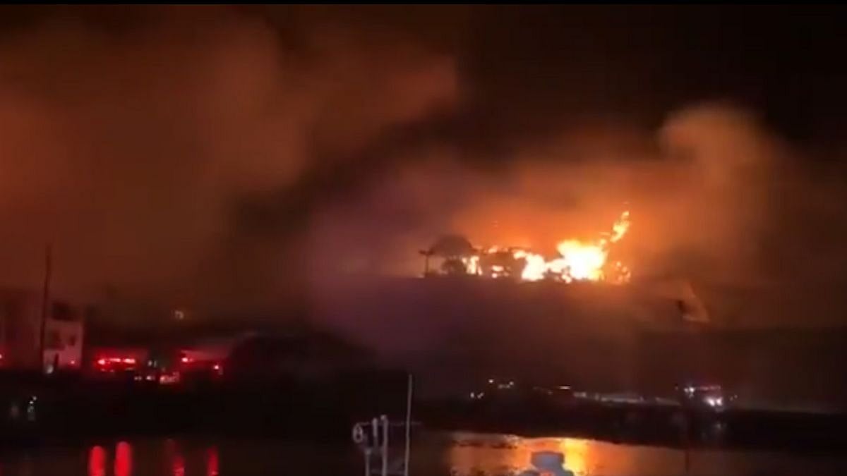 Japan: 1 Person Dies, Over 170 Buildings Damaged After Fire Erupts In Oita; Visuals Surface 