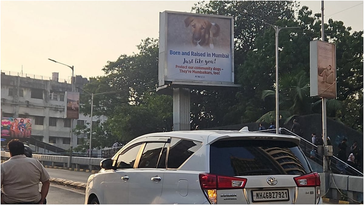'Dogs Are Mumbaikars Too,' Says PETA India As It Urges People To Tie Bandanas To Community Dogs To Protect Them From Being Picked Up 