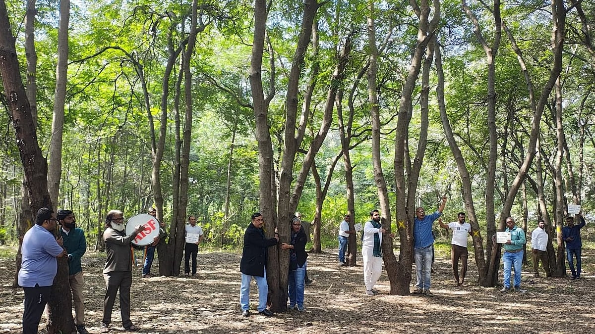 Nashik: Citizens Stage 'Chipko Andolan' To Save 1,800 Trees Facing Axe For Kumbh Mela