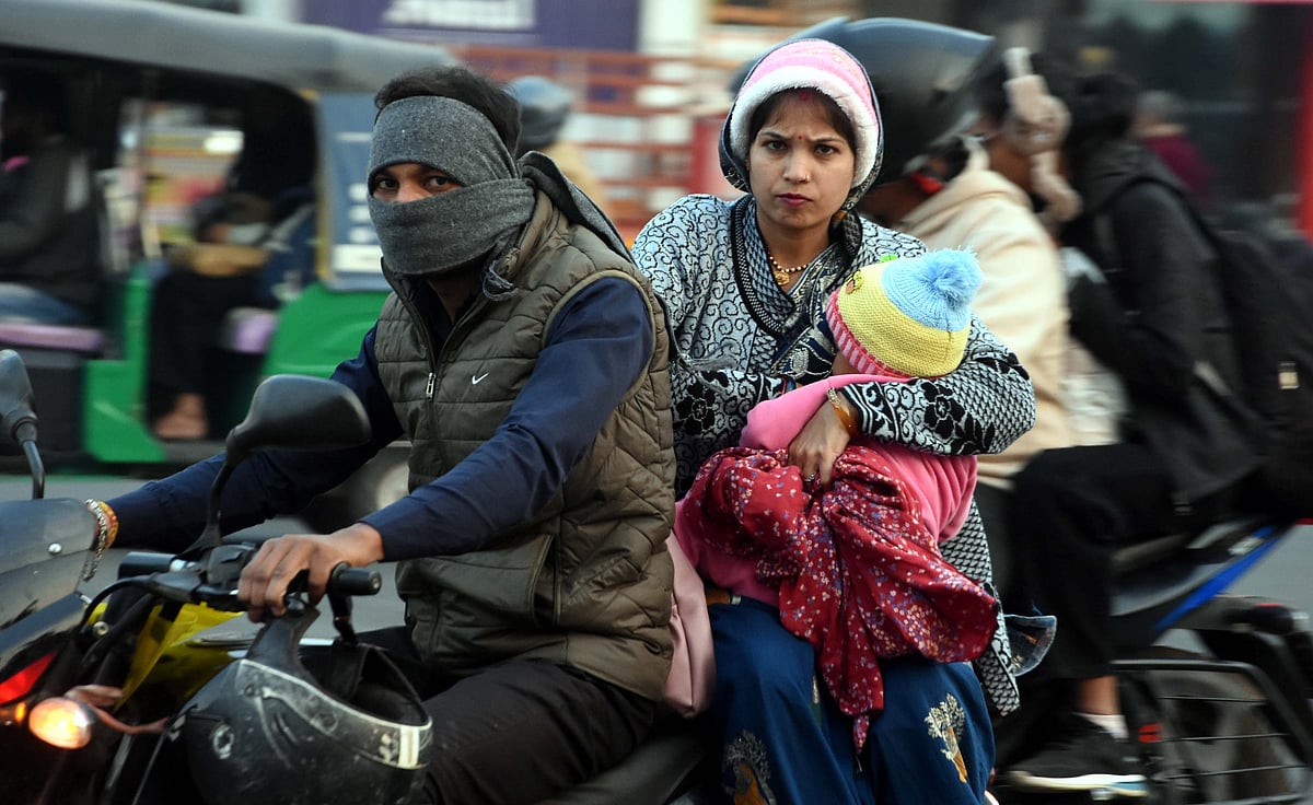 Madhya Pradesh November 20 2025, Weather Update: Severe Cold Wave Grips Bhopal, Rajgarh And Indore;...