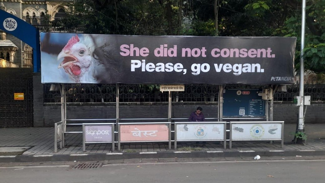 World Vegan Month: 'She Did Not Consent' PETA India's Billboard Campaign Outside Colleges Urges Compassion For Chickens 