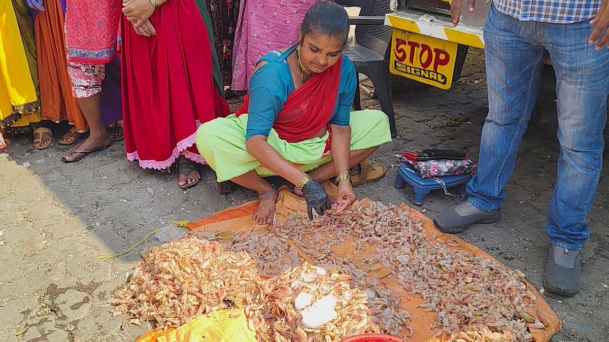 fish traders cleaning seafood outside godown after eviction 