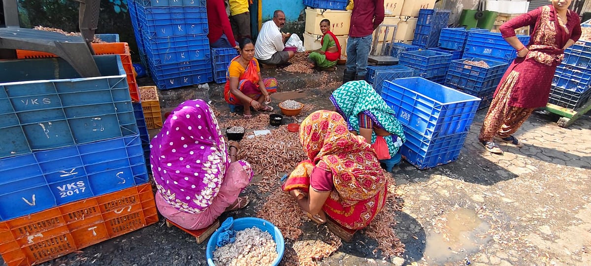 fish traders cleaning seafood outside godown after eviction 