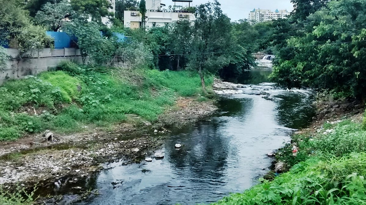 Pune: Fed Up With PMRDA Inaction, Residents To Stage 'Ramnadi Satyagraha' In Sewage-Filled River On...