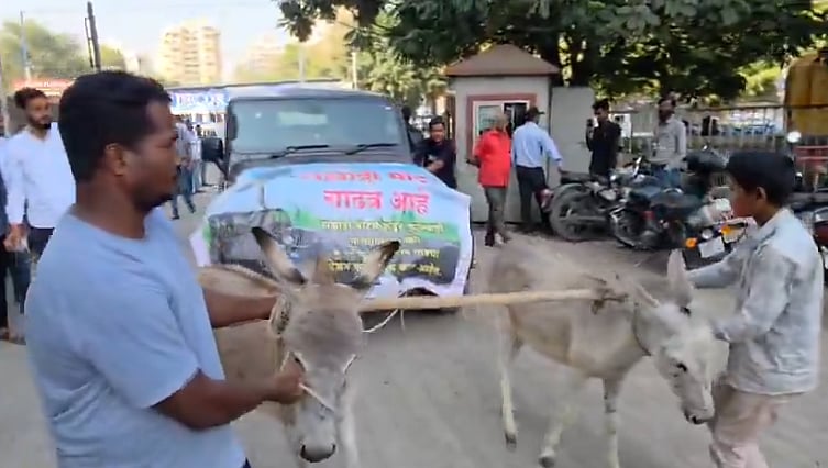 Animal Welfare Group Seeks Action After Donkeys Forced To Pull Mahindra Thar In Pune