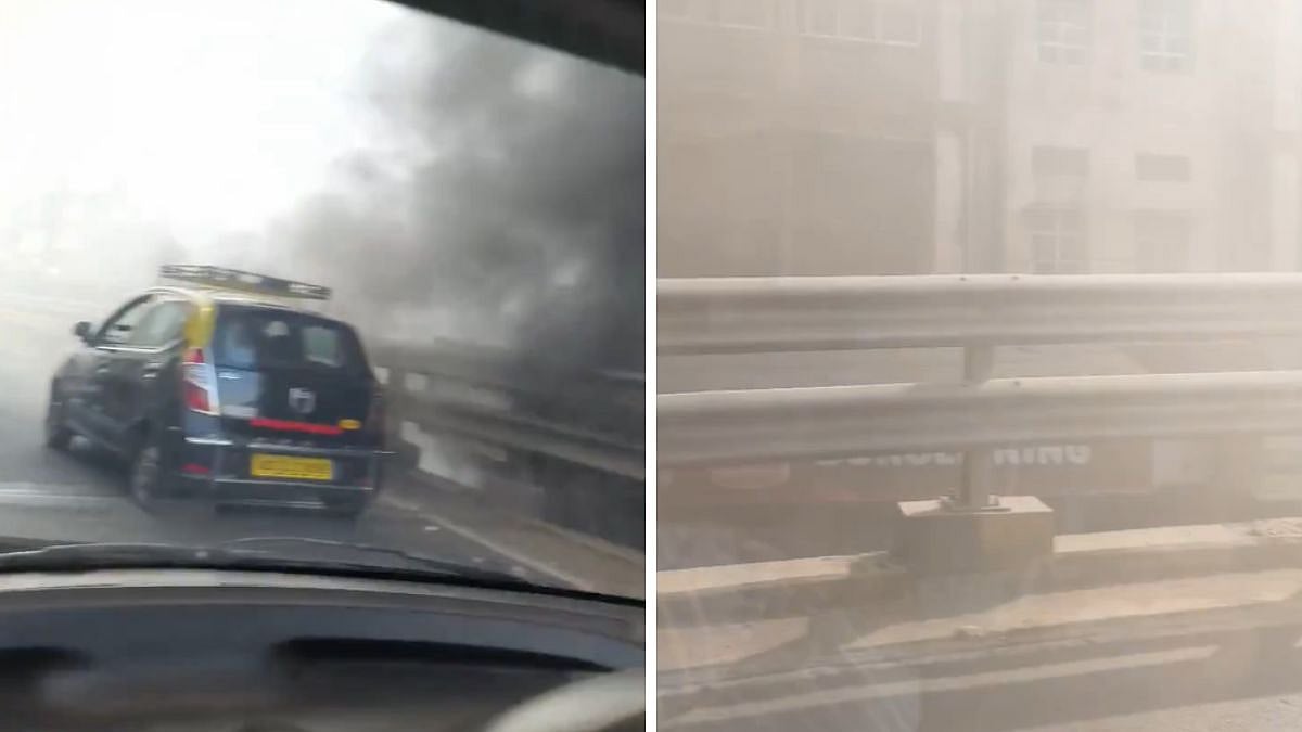 Mumbai: Fire Breaks Out In Scrap Items Kept Under Bridge Near Byculla Station; Video Shows Thick...