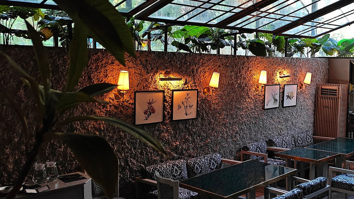 The outdoor space has a relaxed vibe 