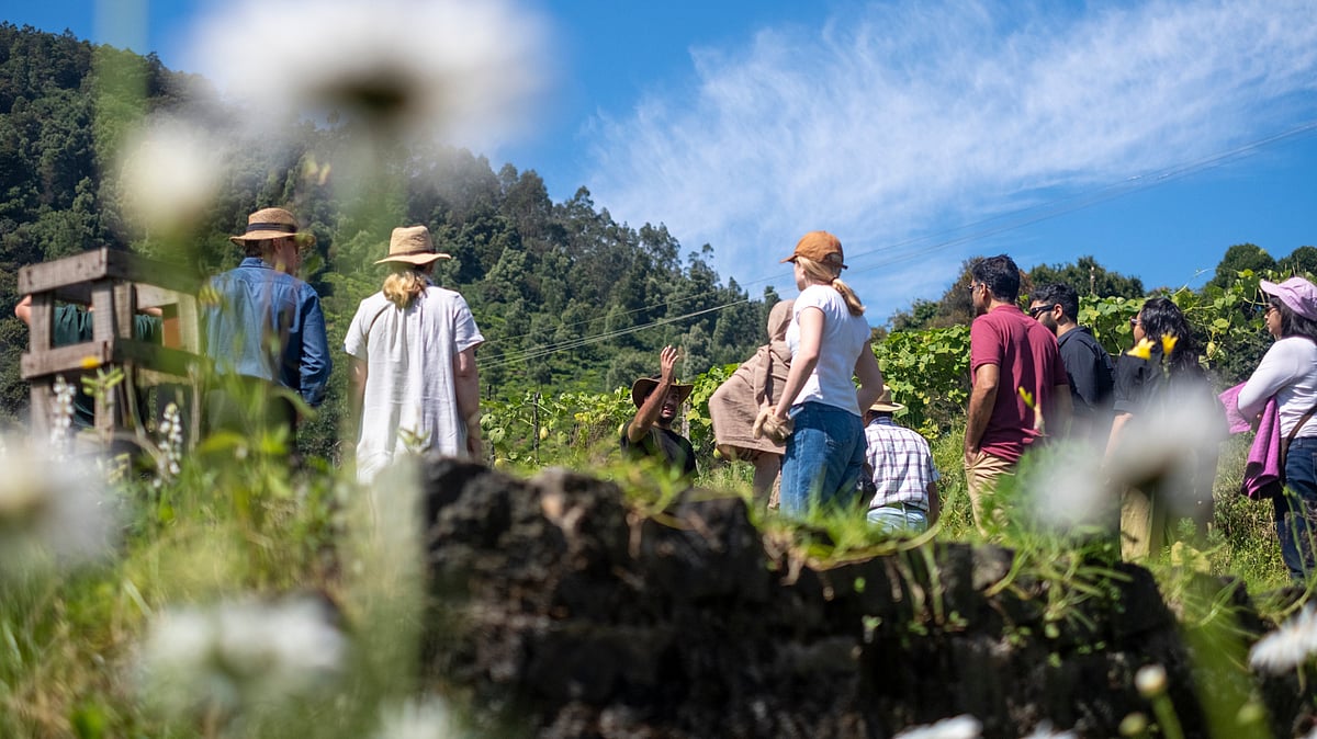 Spotlight on the most culturally immersive festivals in December 2025