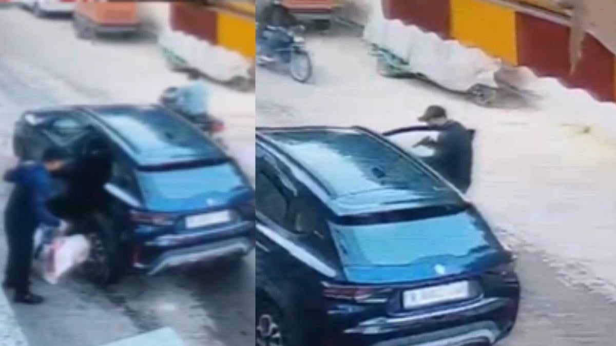 Filmy-Style Robbery: Robbers Kidnap Chow Chow Dog During Car Theft In Rajasthan’s Jaipur - VIDEO