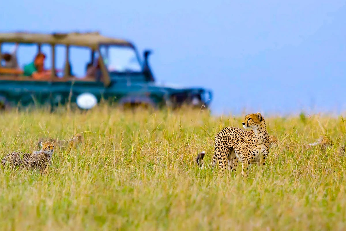 Kuno Forest Retreat Fest 2025-26 Begins: Jungle Safari, Star Gazing, Folk Performance & Traditional...