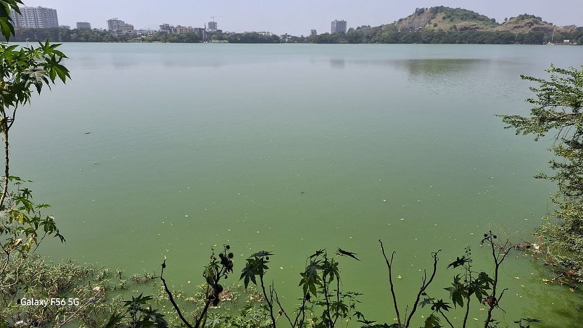 'Har Sunday Do Ghante': Bhiwandi Youth Unite To Save Polluted Varala Lake 