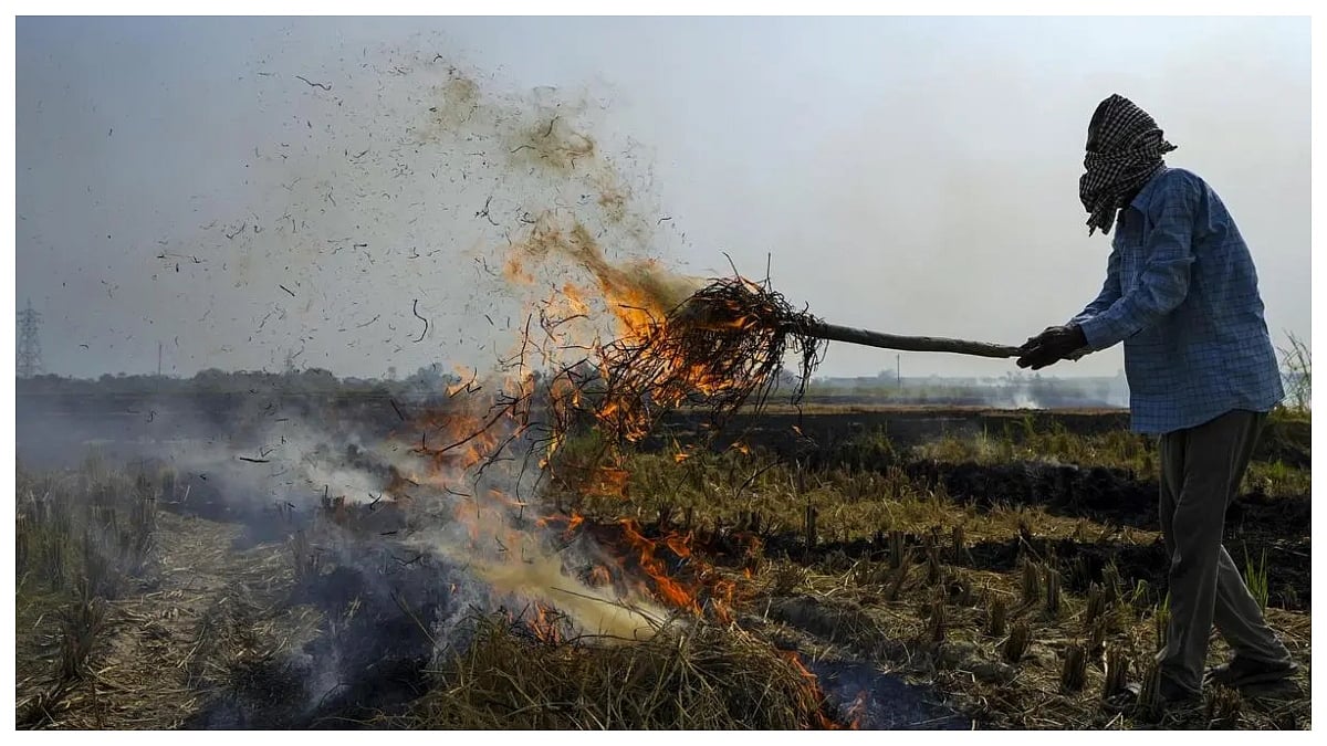 Renewable Gas Worth ₹270 Crore Per Year Can Be Produced By Paddy Straw Burned By Farmers: Biogas...