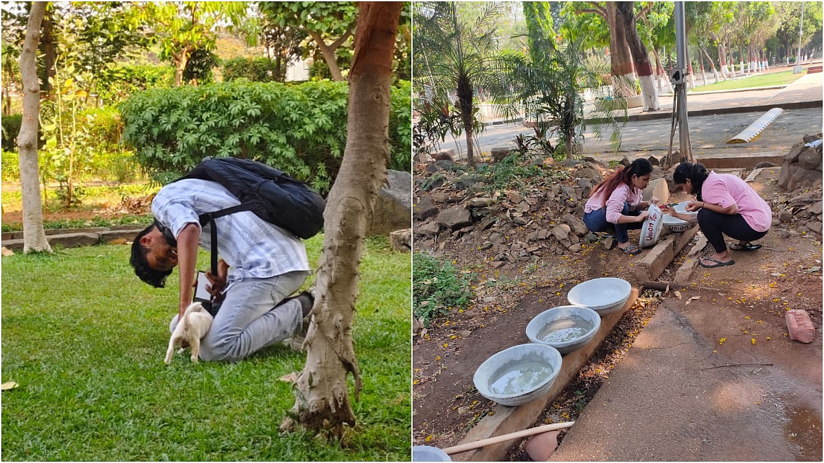 Mumbai schools and colleges promote compassionate coexistence with stray dogs despite SC directive