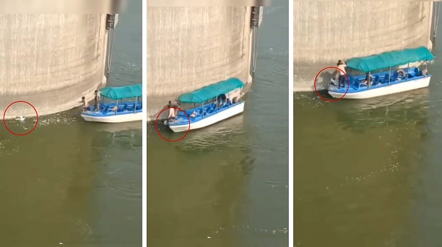 MP News: Old Man Consume Poison, Jumps Into Chambal River After Family Dispute; Found Stuck To...