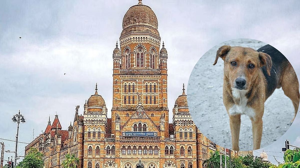 BMC Slaps Notice To Kandivali BEST Staff Quarters After Eviction Threat To Veteran Over Stray Dog Feeding