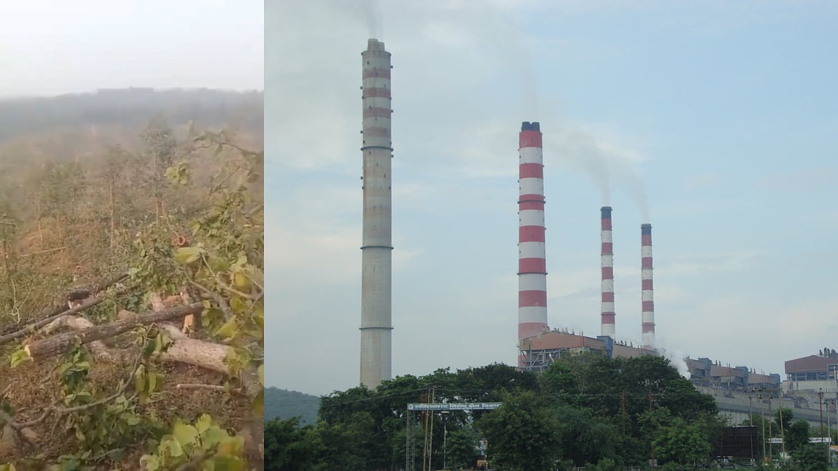 MP News: Massive Deforestation  To Build Power Plant In Singrauli  Sparks Public Outrage; Heavy...