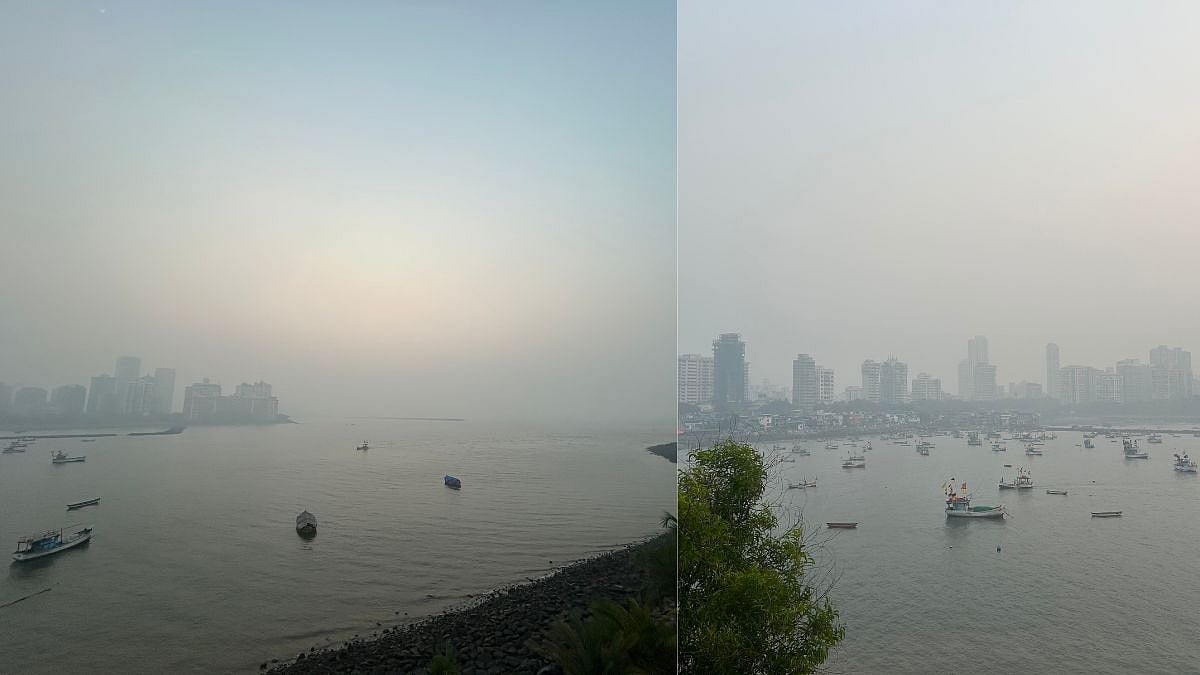 Mumbai Air Pollution: Smog Takes Over Skies In South Mumbai; Mazgaon Records 'Poor' Air Quality At 253 | Video 