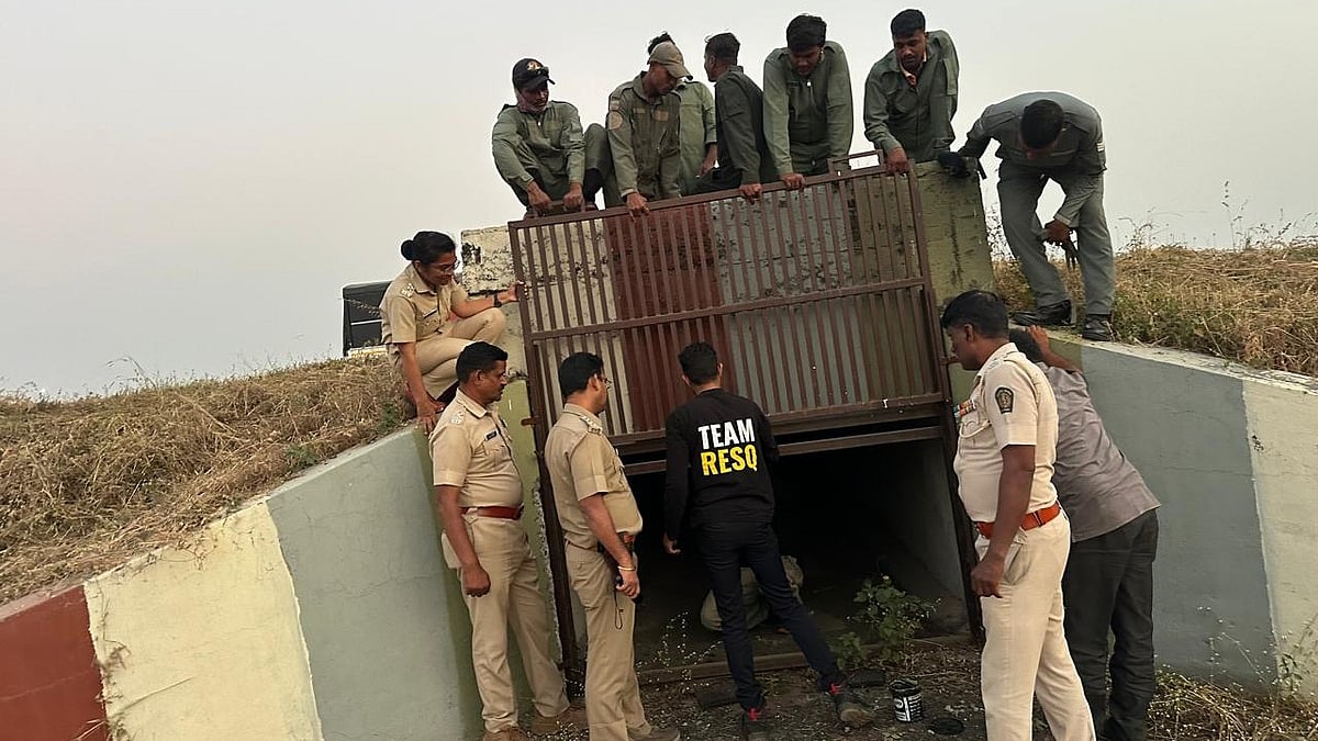 Fresh Leopard Sighting Prompts Forest Department To Intensify Monitoring At Pune Airport