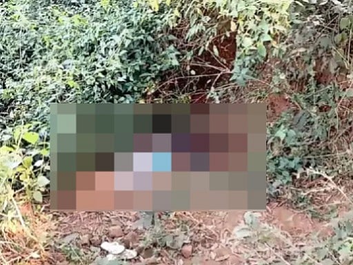 MP News: Jabalpur Police Identify Deceased Using AI, Arrest Man For Murdering Aunt & Disfiguring Her...