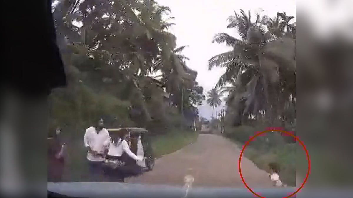 Video Shows Child Narrowly Escaped Being Hit By Speeding Car, Netizens Slam Parents' Negligence; WATCH 