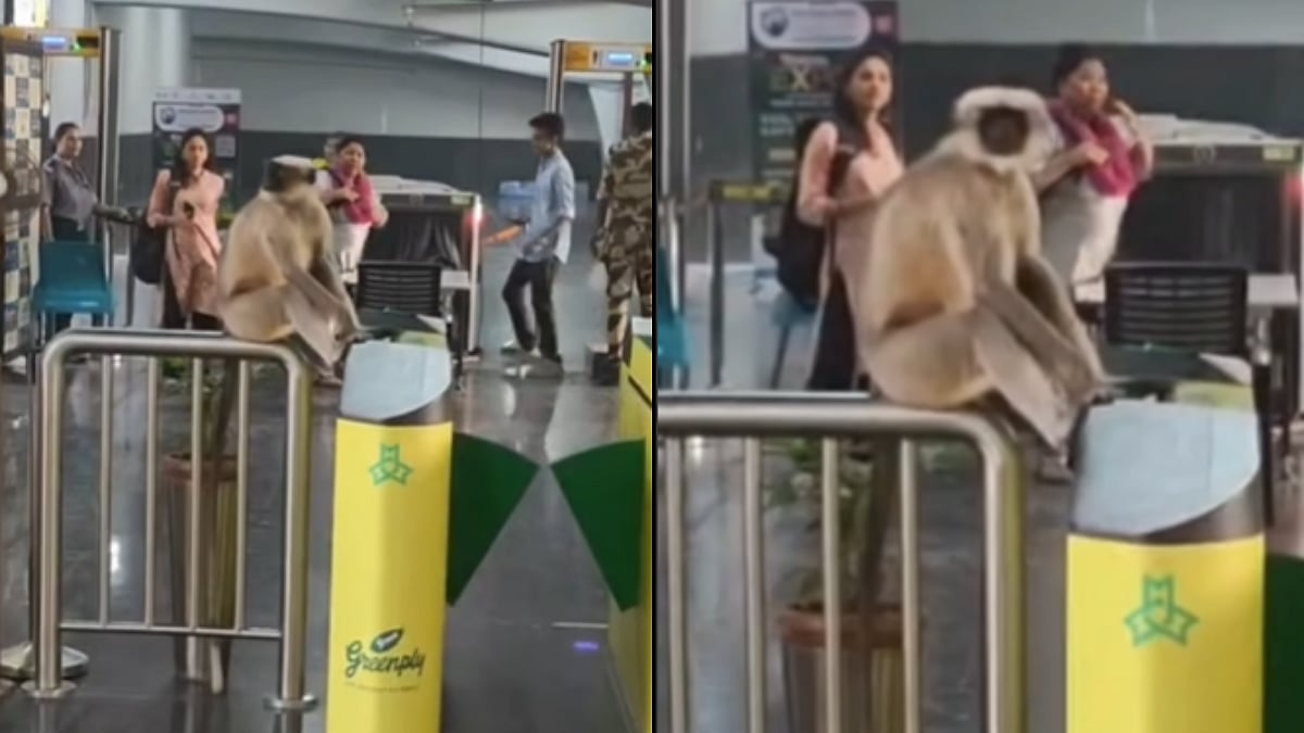 Mumbai Viral VIDEO: Monkey Spotted Casually Sitting On Ticket Scanning Machine At Lower Oshiwara Metro Station 