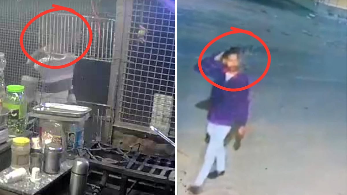 Goharganj 6-Yo Girl Rape Case: New CCTV Clips Show Absconding Accused Salman Khan Buying Cigarettes From Tea hop Along NH-45 
