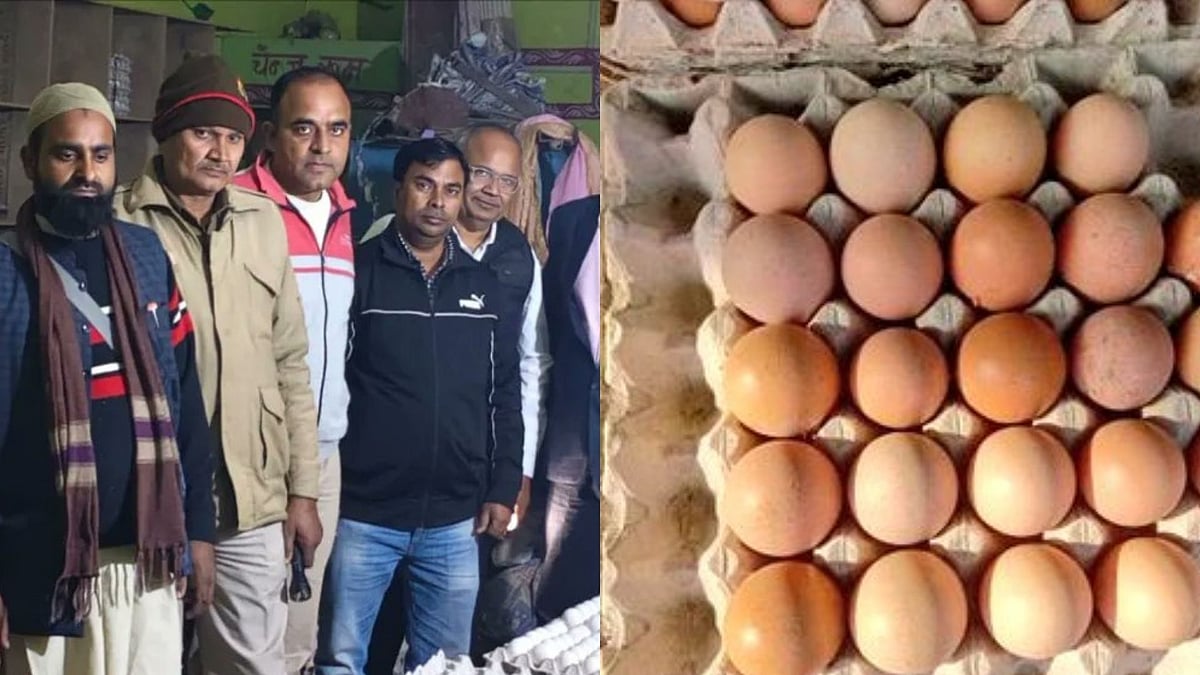 UP Food Safety Department Busts Racket Selling Artificially Coloured Eggs As ‘Desi’ In Moradabad