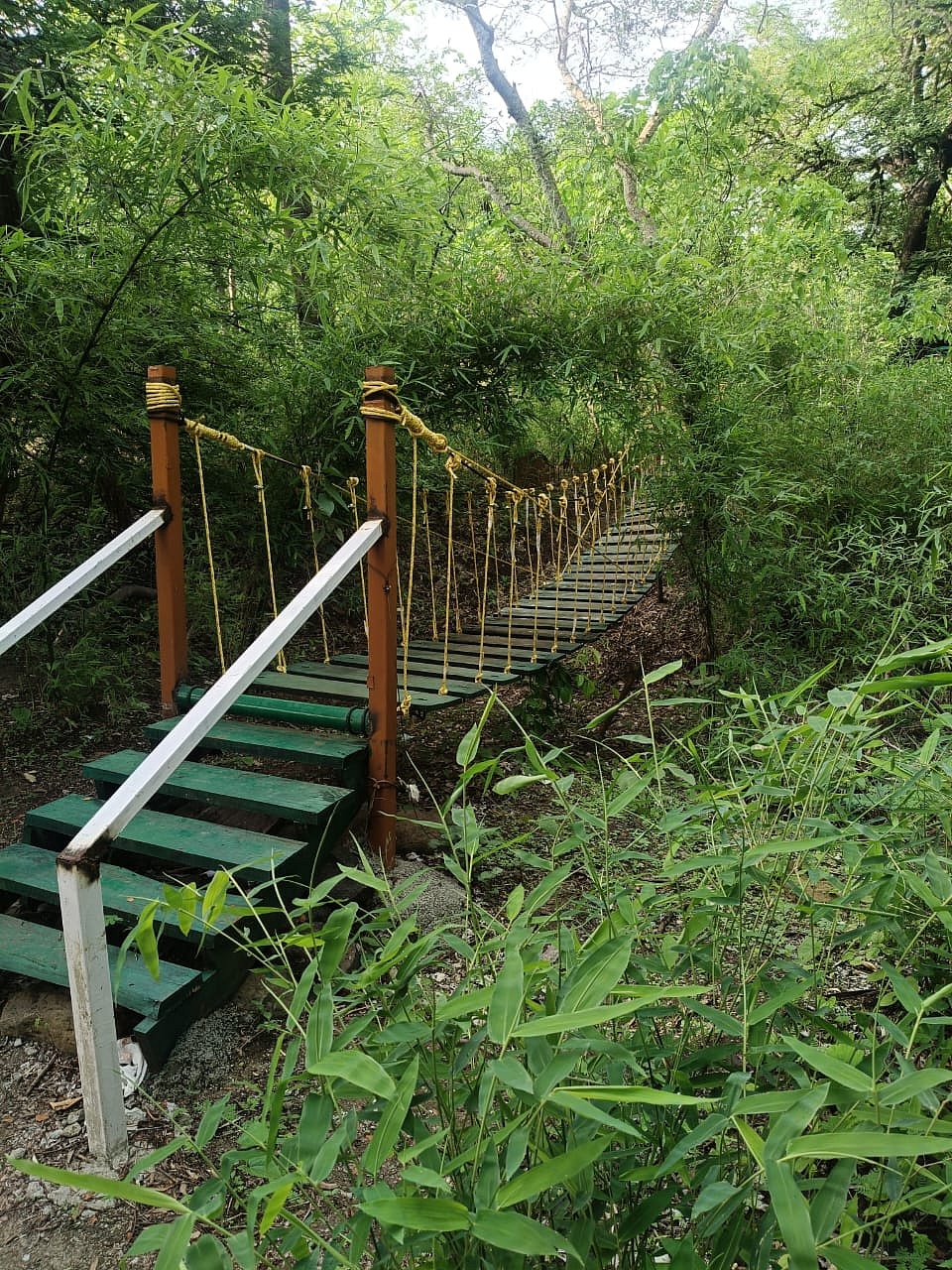 Bridge to distinct nature trails through wetlands, forests, and hills