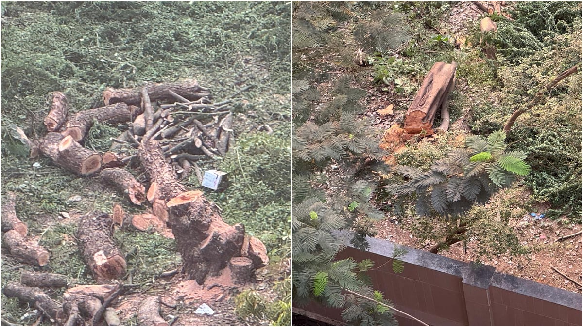 Citizens and activists protest in Powai to stop the cutting of more than 110 trees on a private plot