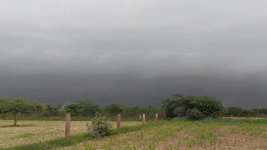 Jaipur Weather: City To Experience Light  To Moderate Rainfall On Friday; IMD Issues Yellow Alert 