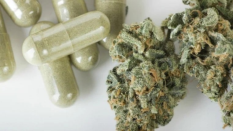 Arunachal Pradesh News: Man Arrested With Cannabis Worth ₹2 Lakh Near Itanagar