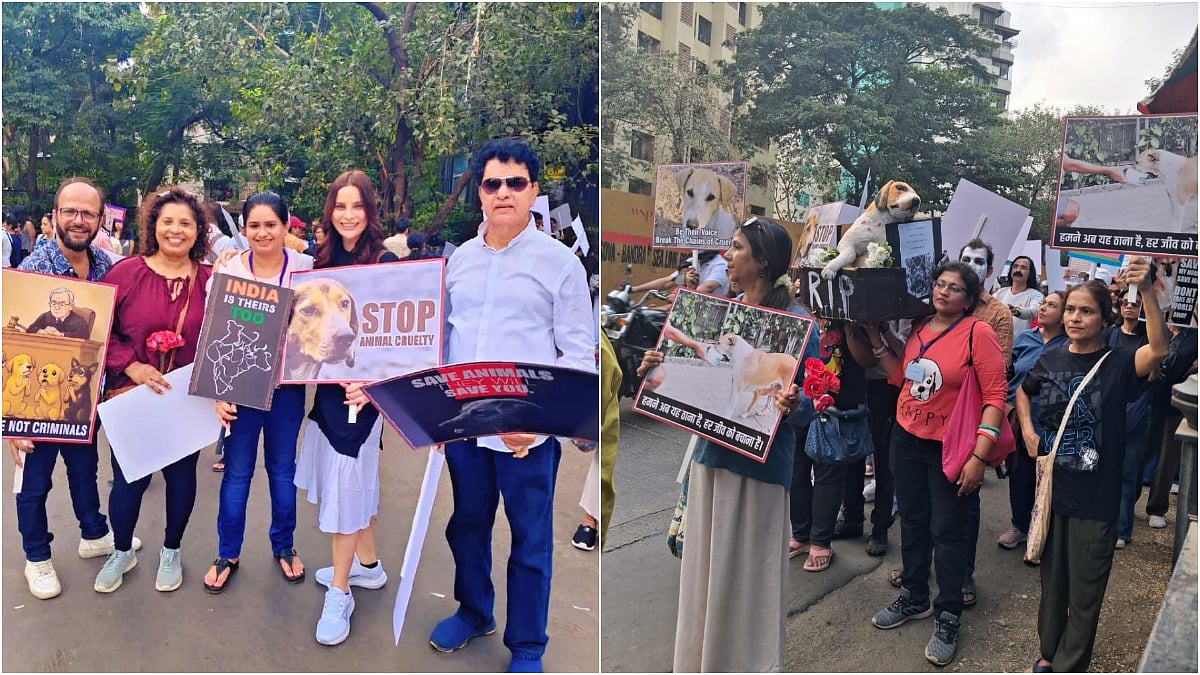 Mumbai News: Hundreds Join Silent March In Versova To Oppose Removal Of Community Dogs And Demand Humane Solutions; See Pics 