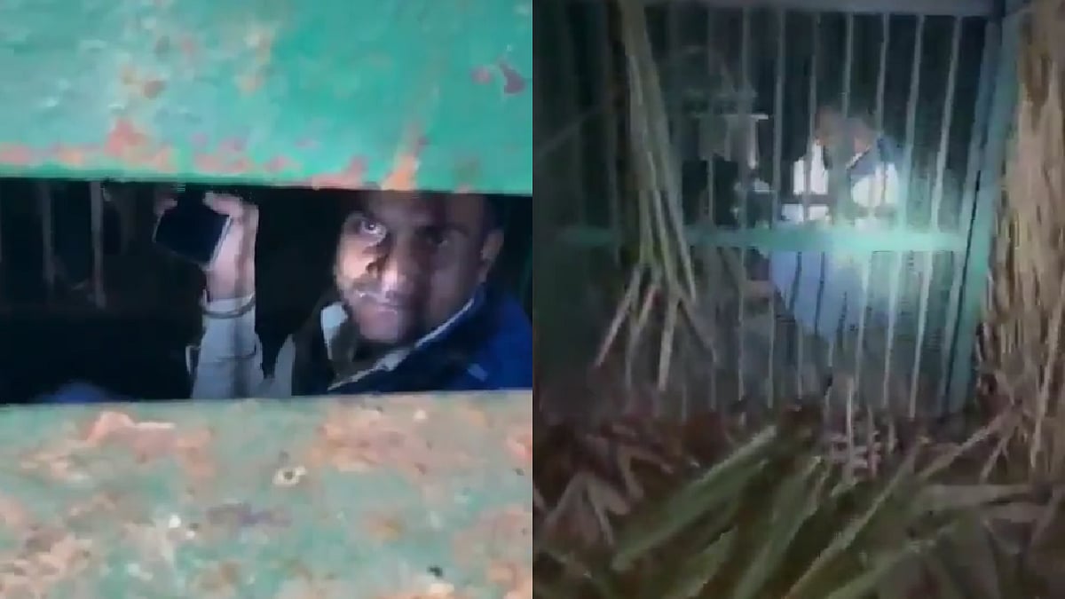 Video: In Attempt To Steal Live Goat Inside Leopard Cage, UP Man Gets Trapped In It For Whole Night