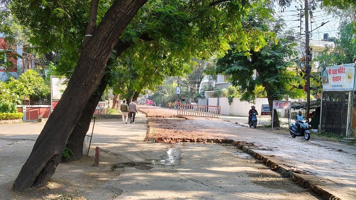 Bhopal News: Notice To Bhojpur Club For Tree Felling