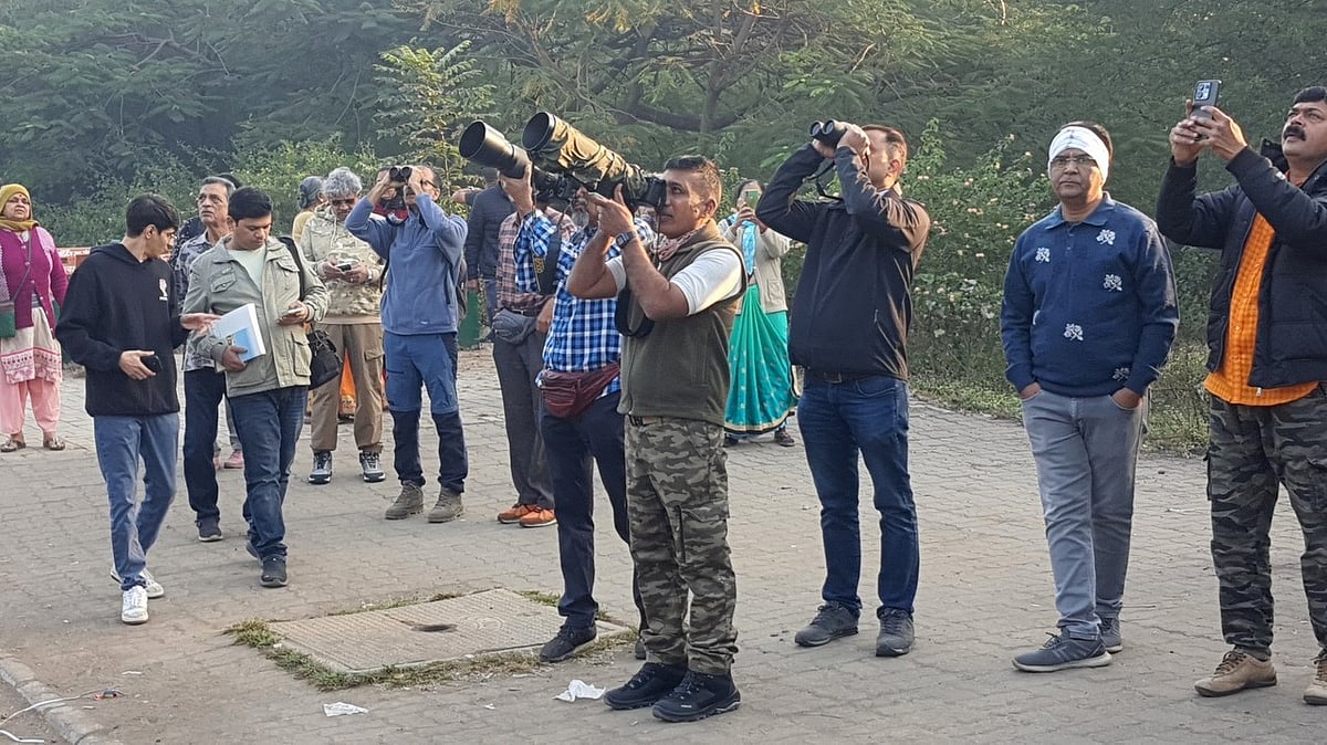 Nashik: Birdwatchers Unite To Protect Tapovan's Green Ecosystem