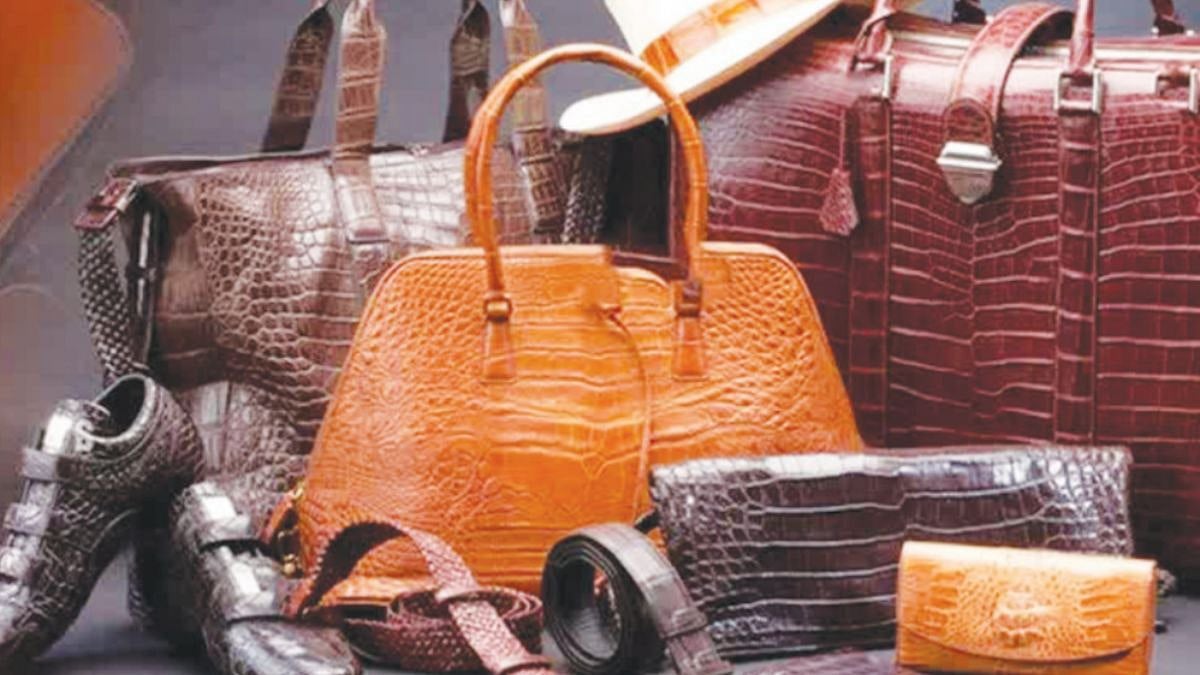 Uttar Pradesh News: India’s Leather Industry Set To Reopen Major Russia Market After 40 Years; CLE Delegation To Visit Moscow 