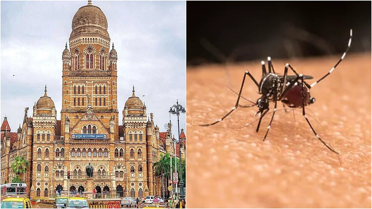 Mumbai News: Malaria Cases At Construction Sites Double In 2025 Monsoon; BMC Flags Early Rains And Expanded Screening 