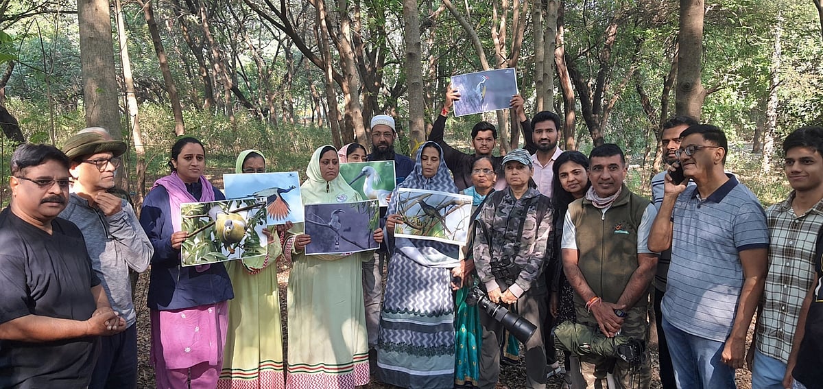 Nashik: Birdwatchers Unite To Protect Tapovan's Green Ecosystem