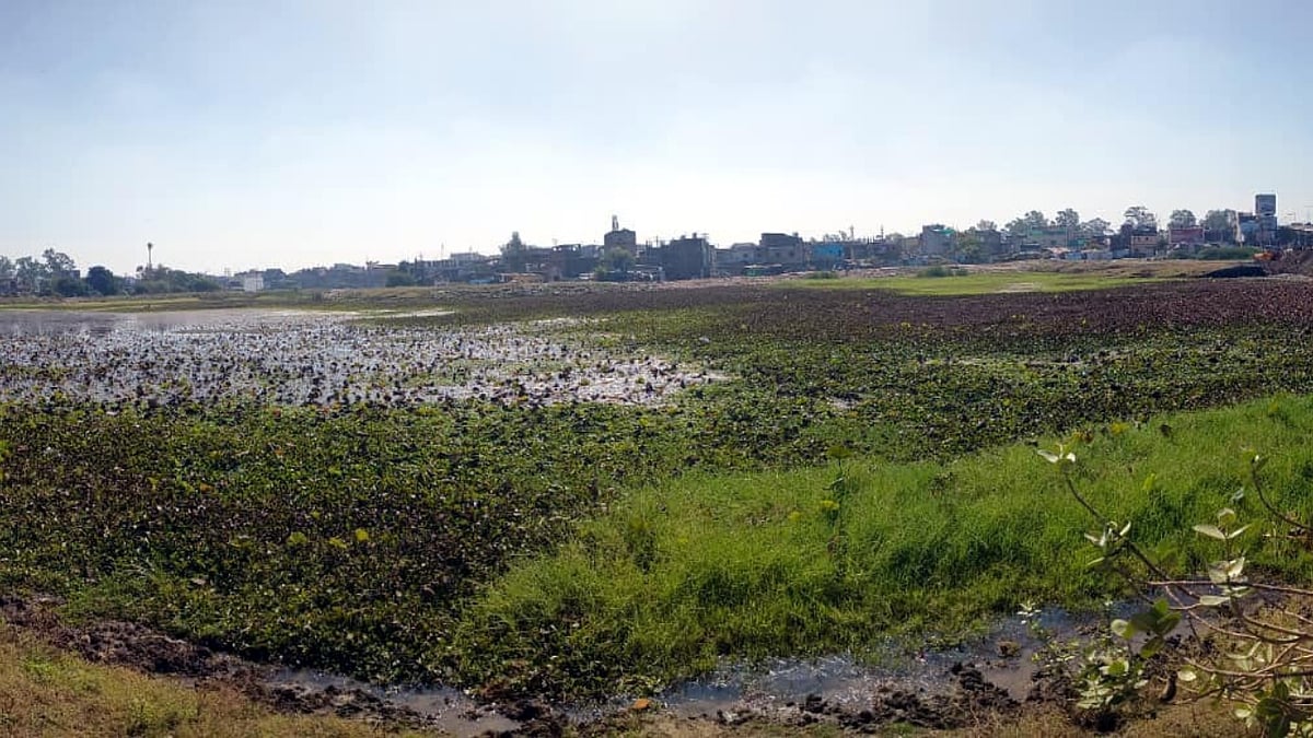 MP News: Union Carbide’s Solar Evaporation Ponds Await Scientific Remediation