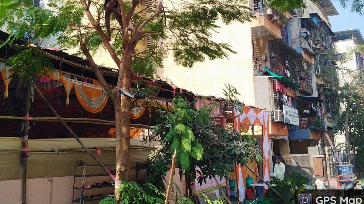 Panvel: PMC Removes Hazardous Branches Near Swami Samarth Seva Kendra After Complaints