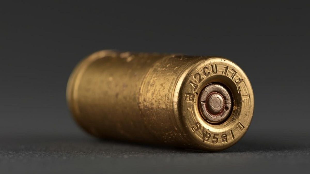 Kerala: 2 Live Bullets Found In Class 8 Student's School Bag In Alappuzha; Probe Launched 