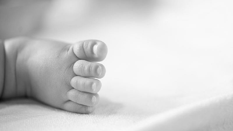 MP News: 2.5-Year-Old Boy Dies After Falling In Water-Filled Pit While Playing Outside Home In...