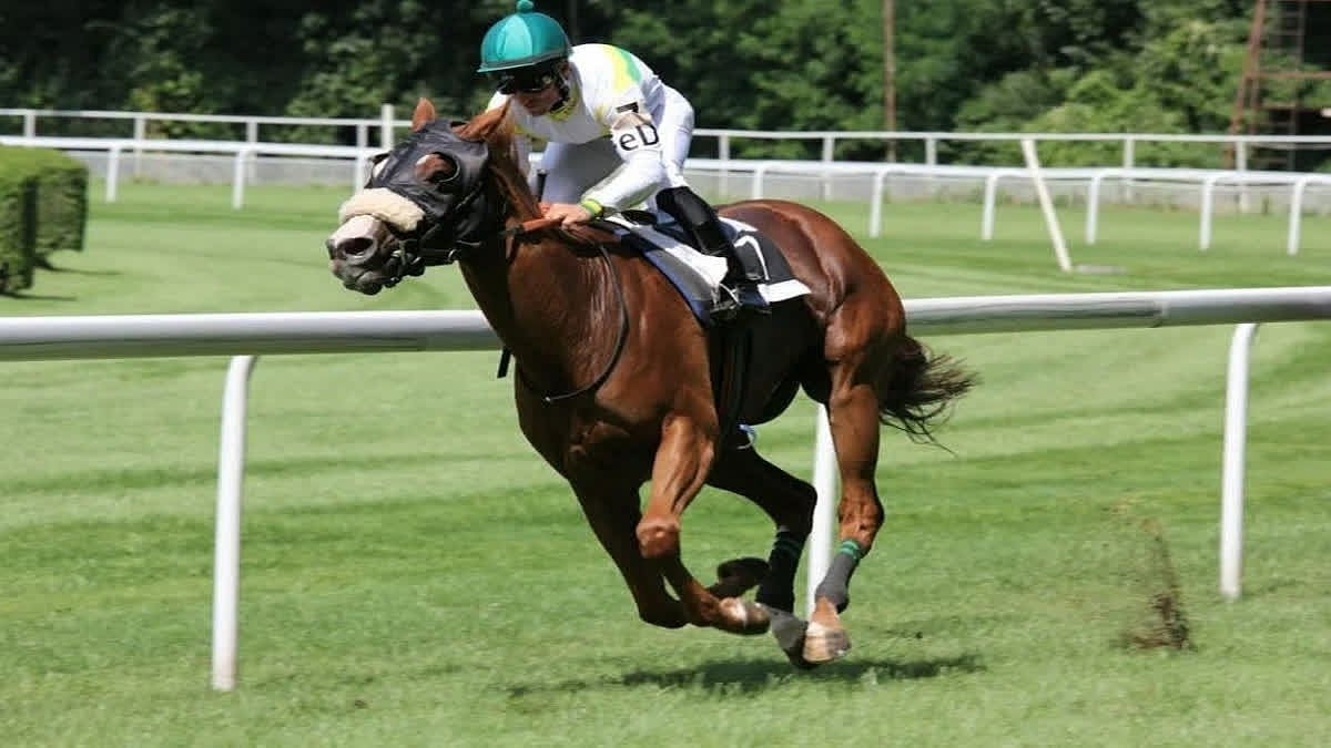 Mumbai Horse Racing: Trevor-guided Jaandaar Standout Contender For Dr. Jagjit Singh Trophy