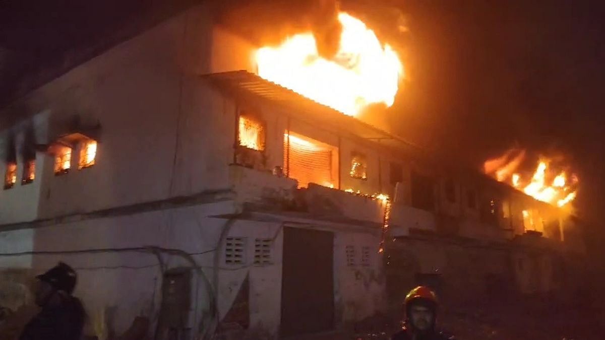 Bhiwandi Factory Blaze: Brush Unit In Kalher Gutted In Midnight Fire, No Casualties Reported | VIDEO 