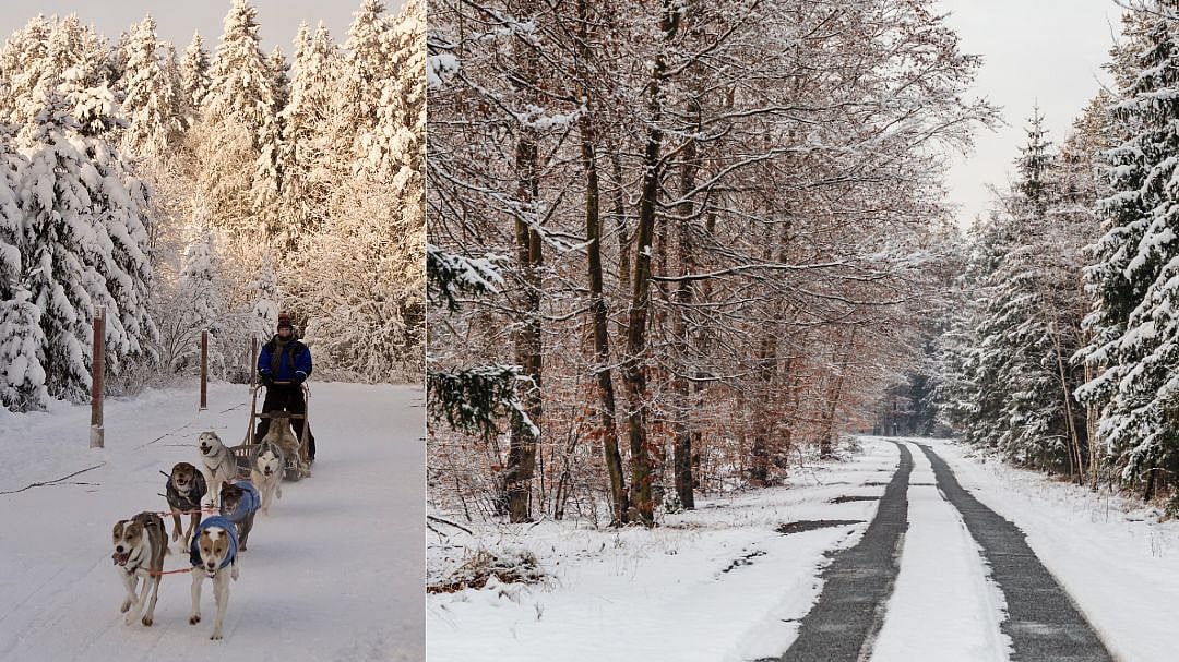 Dreaming Of A White Christmas? Head To Finland, Swiss Alps, Canada & Niseko, Japan