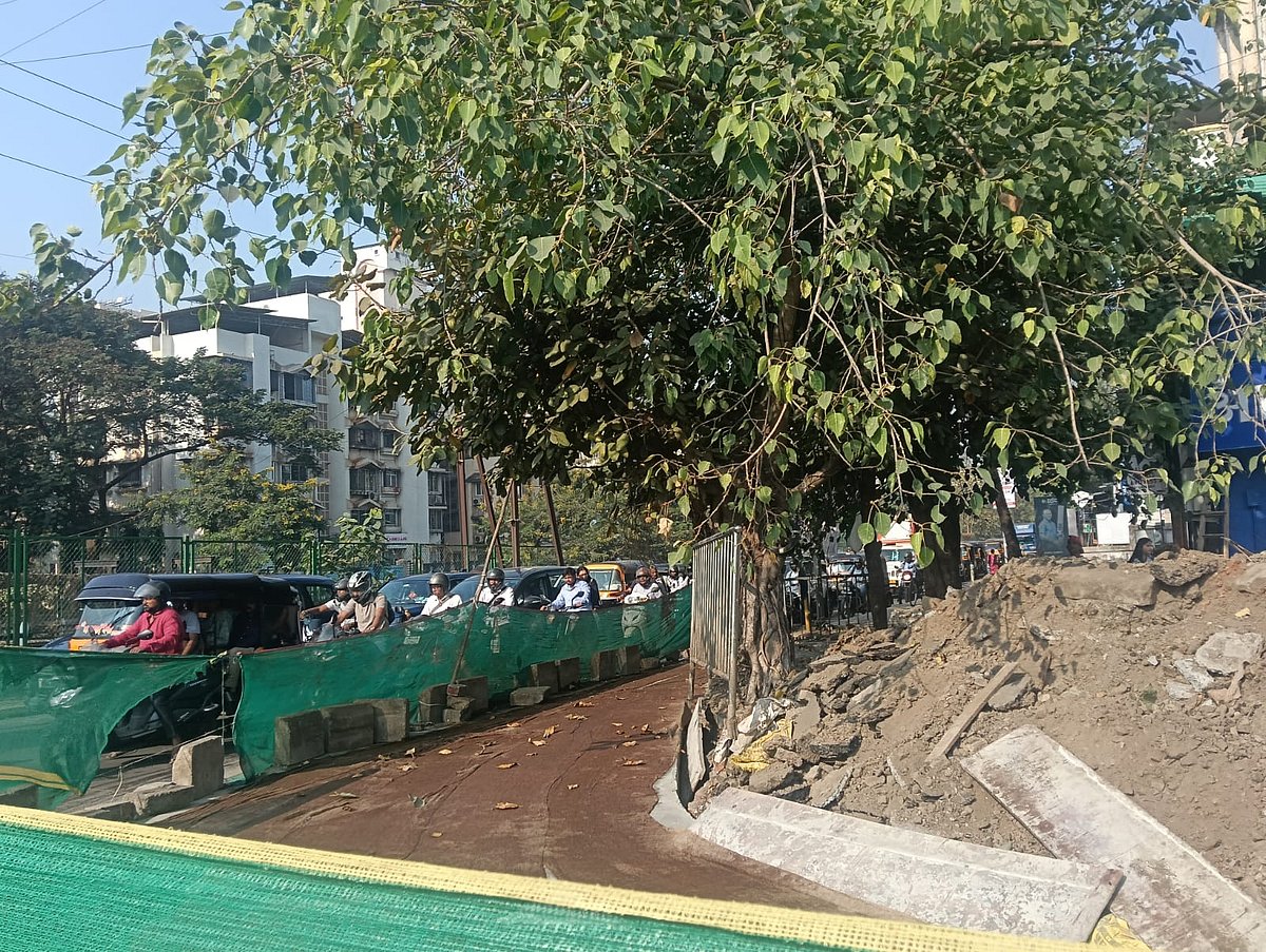 Vashi Residents Fear Loss Of Mature Trees During Road Widening; Citizen Groups Seek Written Assurance From NMMC